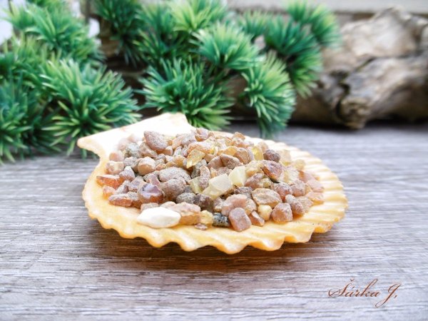 JANTAR - pryskyřice z Baltu
