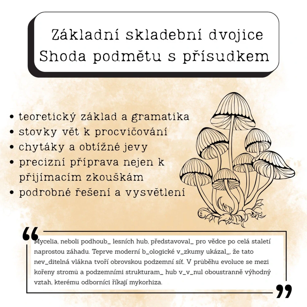 Shoda podmětu s přísudkem (PDF materiál)