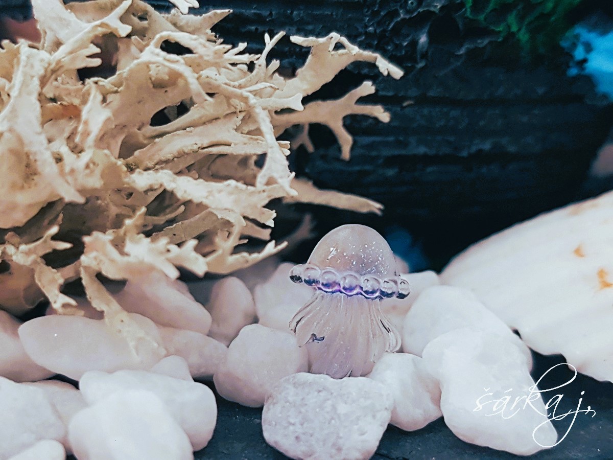 dekorační barevné medúzy