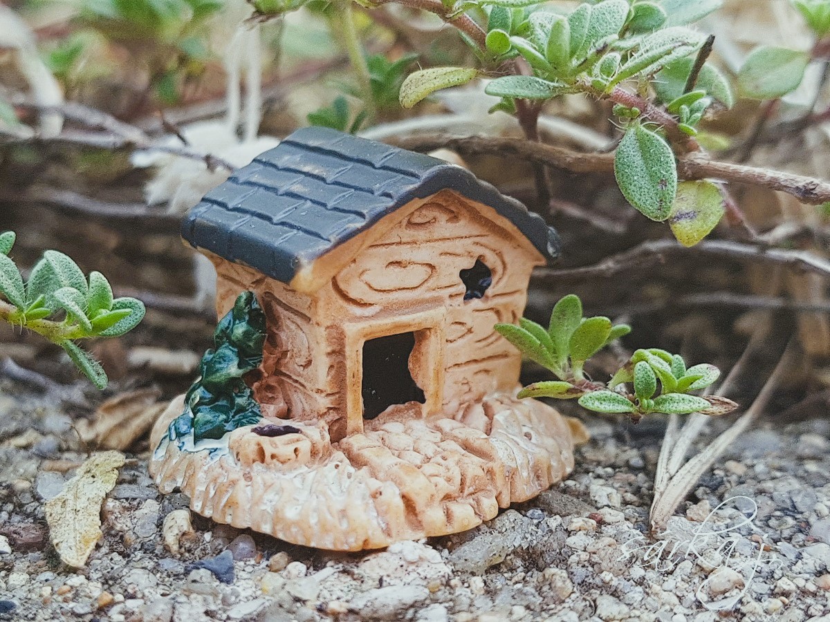miniaturní domeček