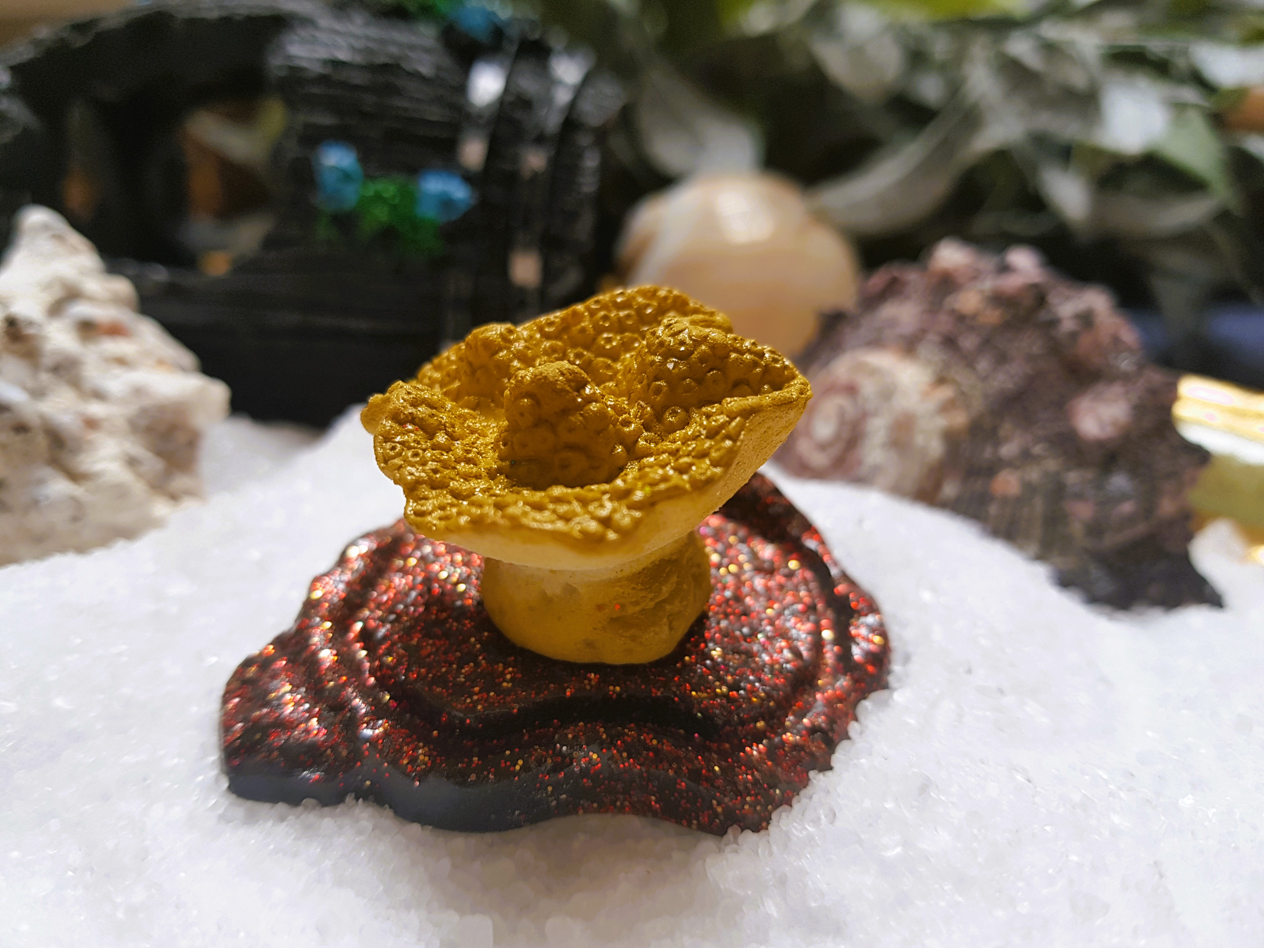 magické rostoucí korály