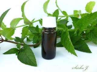 SPEARMINT OIL - mátová přírodní silice
