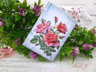 dárková kartička - Rose Postkarte
