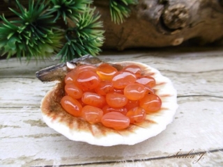 KARNEOL placička
