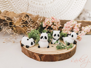 medvídek Panda