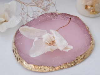 sušený květ orchideje