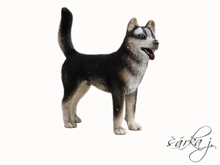 Schleich pes