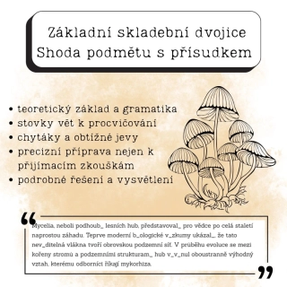 Shoda podmětu s přísudkem (PDF materiál)