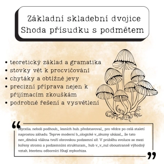 Shoda přísudku s podmětem (PDF materiál)