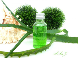 přírodní aloe vera gel