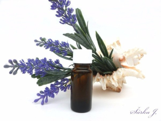 Levandule Lavandula officinalis oil