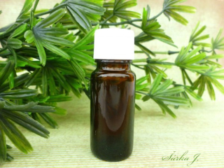 Tea tree Melaleuca Alternifolia Leaf Oil