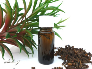 Hřebíček Eugenia Caryophyllus Bud Oil