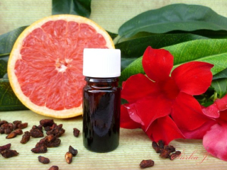 extrakt z grapefruitových jadérek - přírodní konzervant