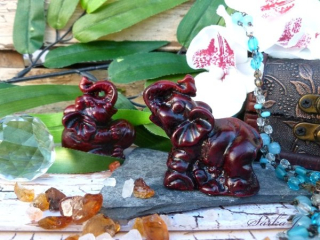 SLON Feng Shui - symbol štěstí, radosti, síly i odvahy