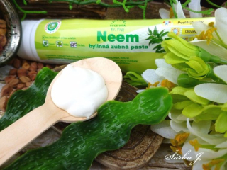 Ajurvéde - zubní pasta s Neem