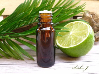 Limetka Citrus Aurantifolia Peel Oil