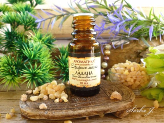 Kadidlo Boswellia Carterii Oil 